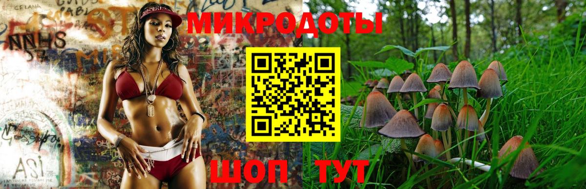 Галлюциногенные грибы MAGIC MUSHROOMS  Вход с VPN  Новокузнецк 